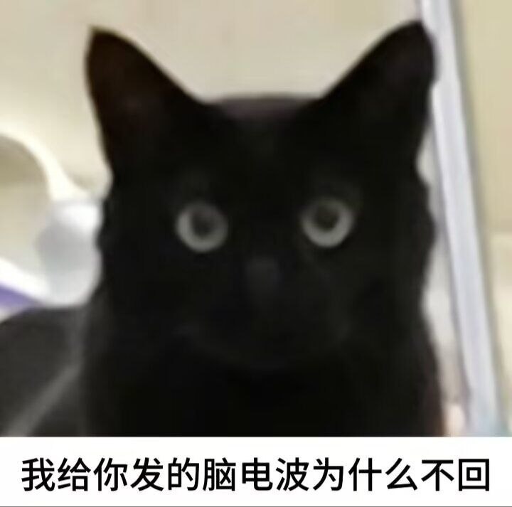 评论图片