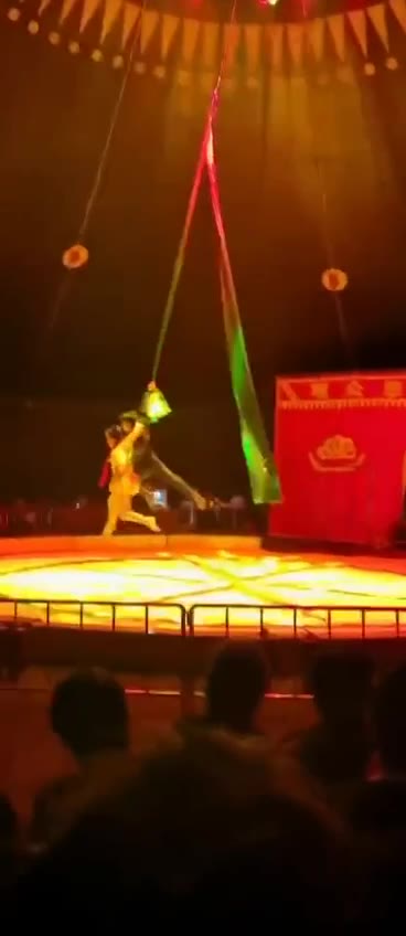黑龙江鸡西， 大马戏团表演 失误掉落 #马戏团 #事故 #坠落（视频 1/2）