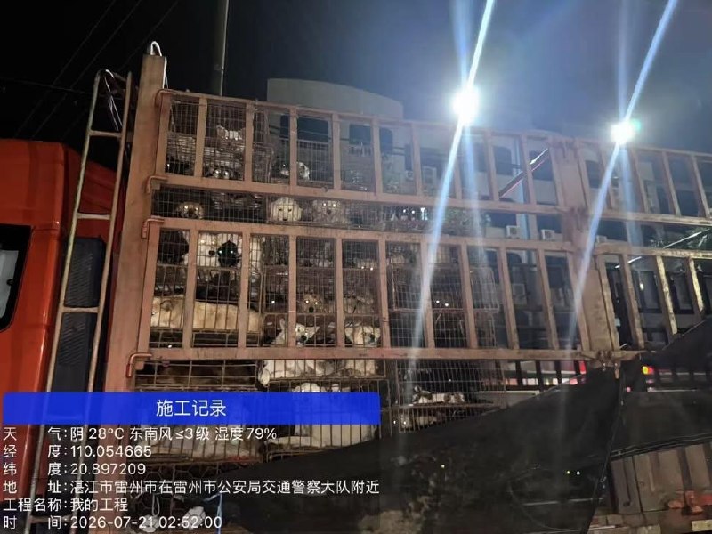 国内首次拦住狗车，500只狗，还是拦住两次，我以为动物保护会有里程碑的胜利，结果呢？ 志愿者连夜追赶，全群报警，拦下两次，又被警察放行到农业局，说要无害化处理…