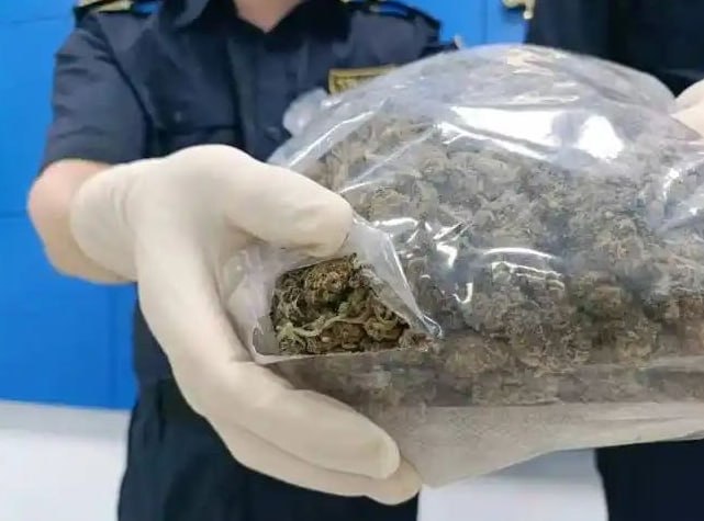 #泰国新闻 林查班港集装箱内查获 1.6 吨走私大麻，计划运往荷兰 泰国海关在林查班港开展集装箱查验工作。两个货柜申报货品为床上用品，执法人员开箱后，在毛毯、…