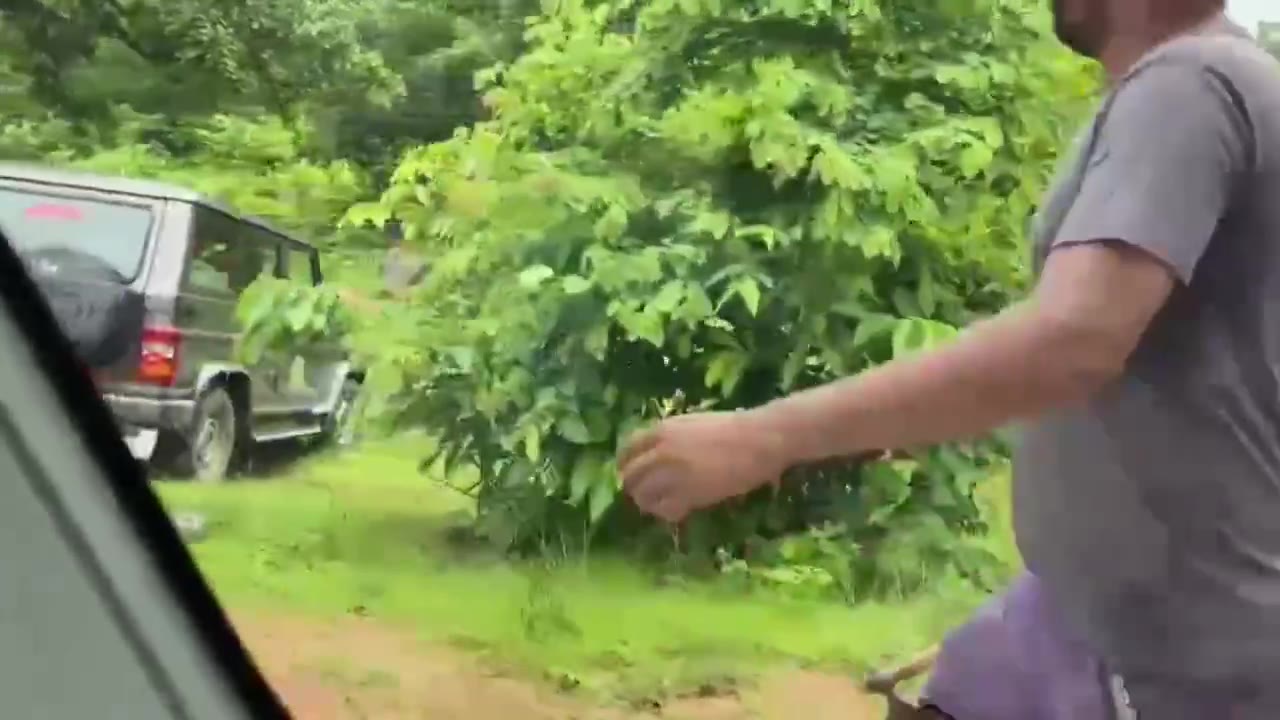 坎克尔，恰蒂斯加尔邦 - 在一起悲惨的事件中，两人在熊袭击中丧生，三人受伤。栖息地缩小和森林侵占正在将人与野生动物的冲突推向危险的程度 #熊出没 #吃人 #咬…