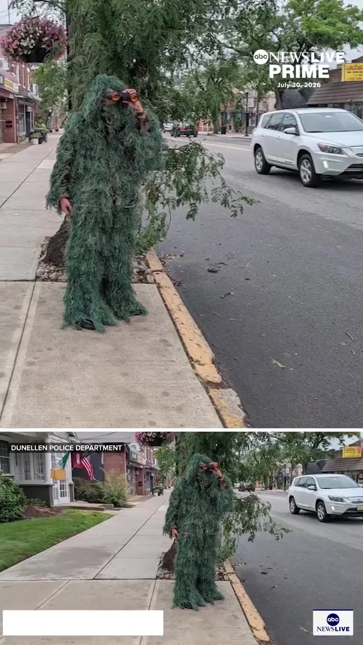 🇺🇸 美国 位于#NewYork市郊的一个警察部门，正在使用一种非常规的策略来抓捕分心的驾驶员，他们派遣一名穿着灌木丛服装，并配备望远镜的警官，以发现违规者。…