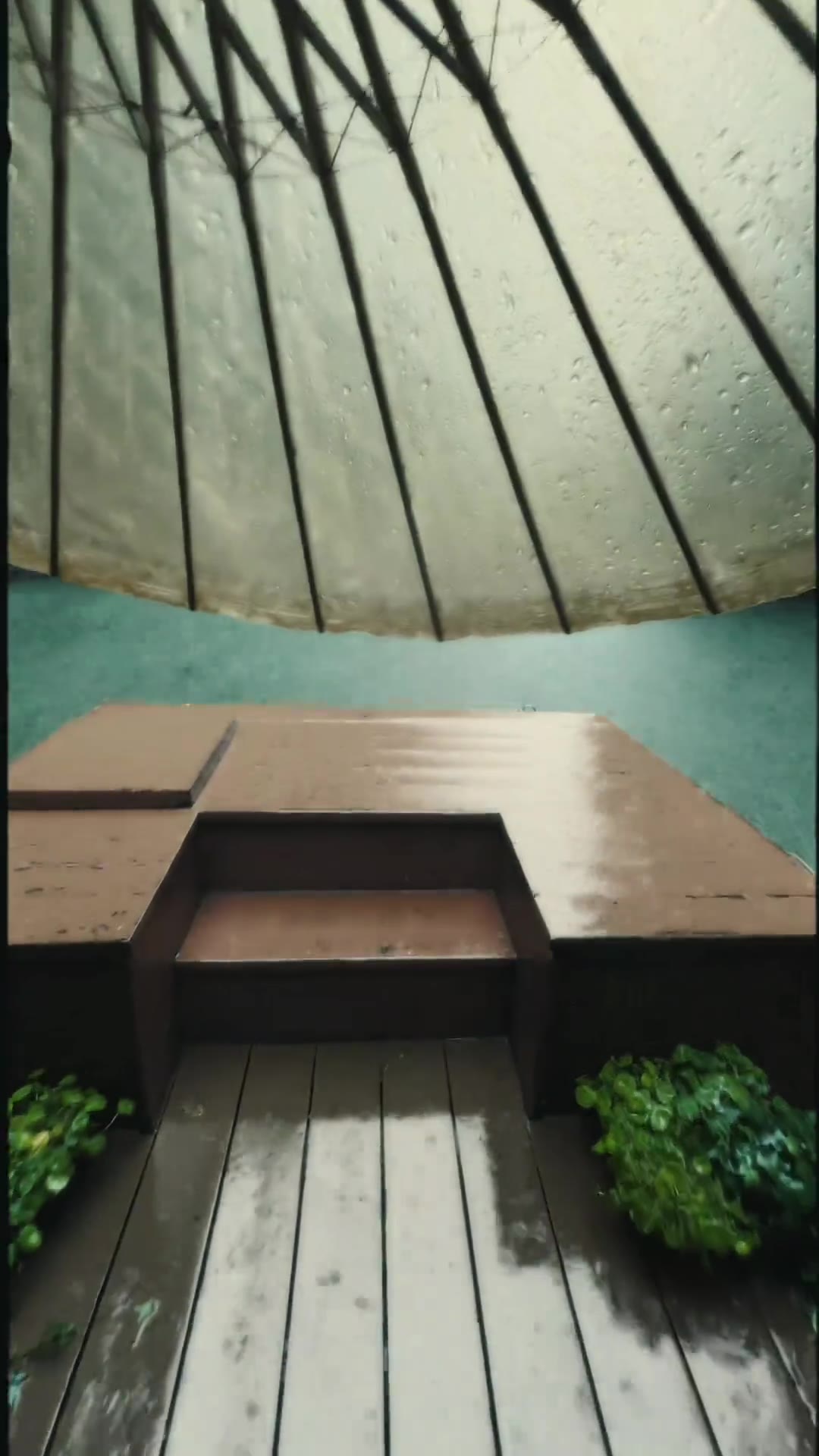 晚安（视频 1/1）