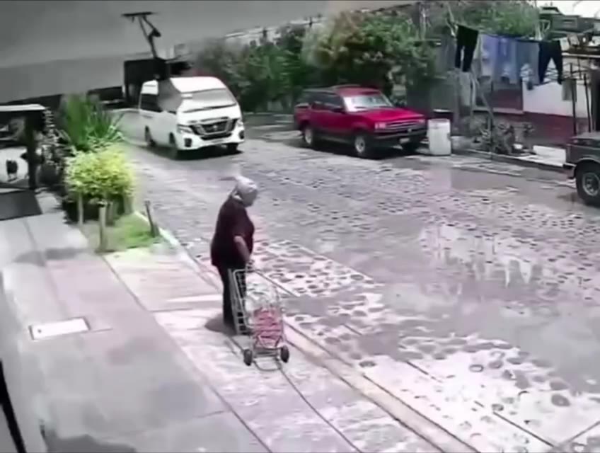 #狗咬人 攻击 老奶奶 ！（视频 1/1）