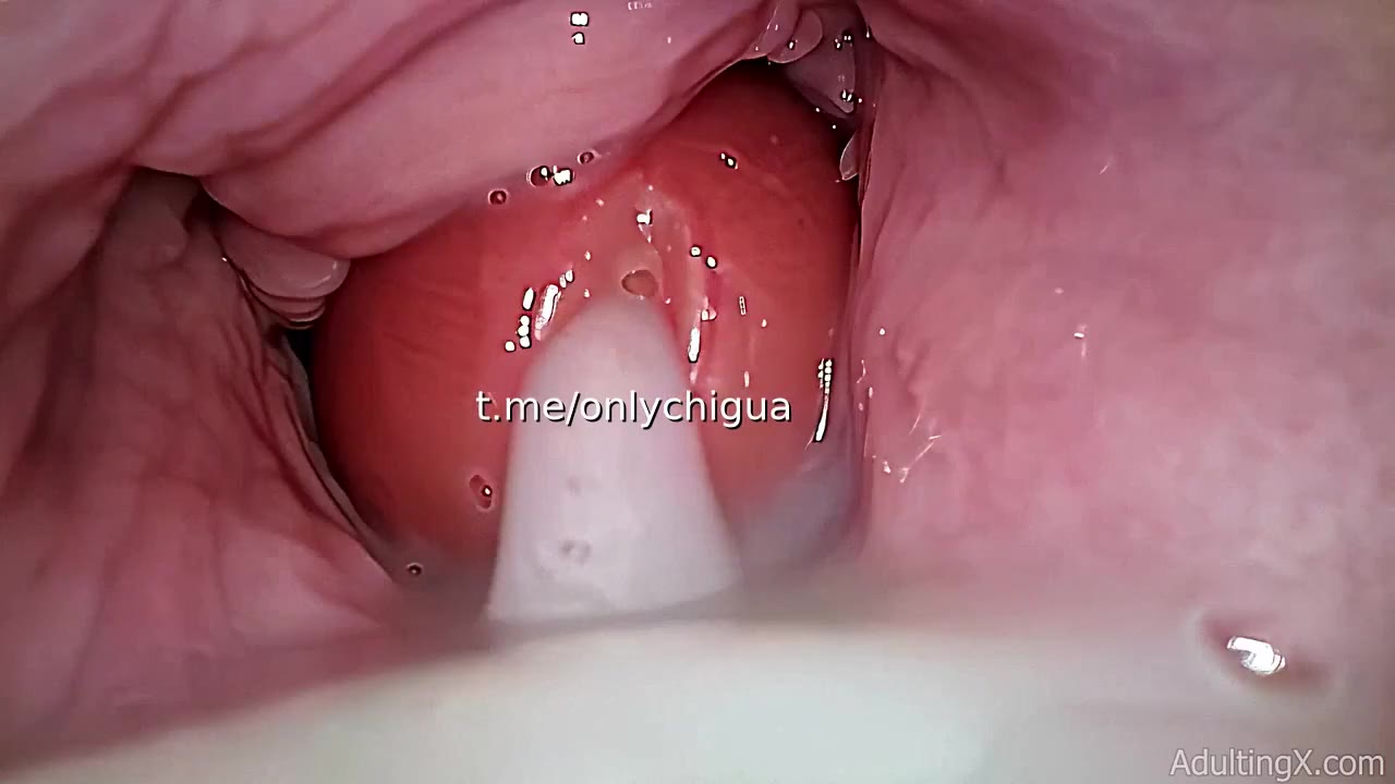 假鸡巴，模拟射精，逼内视角。且看且珍惜（视频 1/1）