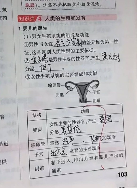 帖子图片 3/3