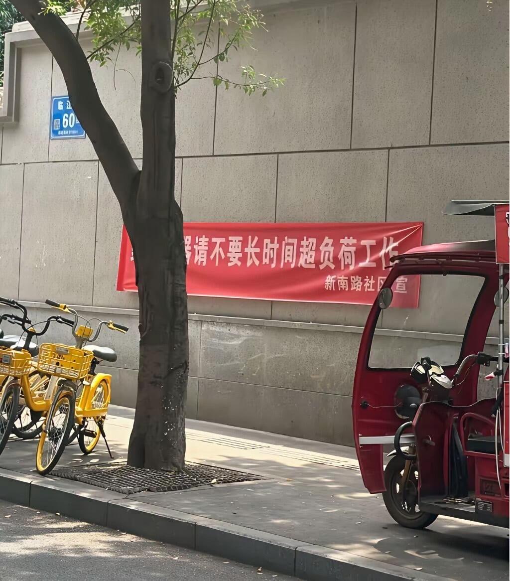 大家卷起袖子猛干（图片 1/2）