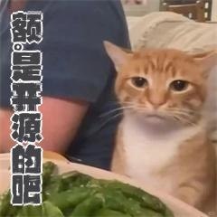 评论图片