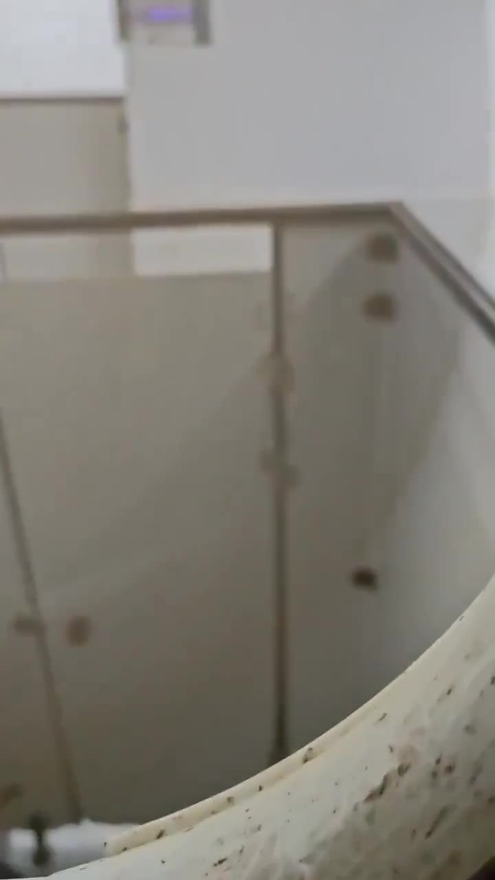 #鸟洞 的玩法 都是 #gay @btlot（视频 1/1）
