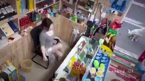 老板娘 是不是 批瘾犯了 🙊 #乐子（视频 1/1）