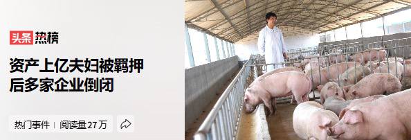 2016年，企业家王飞被招商引资到河南省驻马店市新蔡县产业集聚区。 2017年，王飞在产业园买下50多亩地，开始建新厂房，共投资5000多万。 期间不断扩产，…