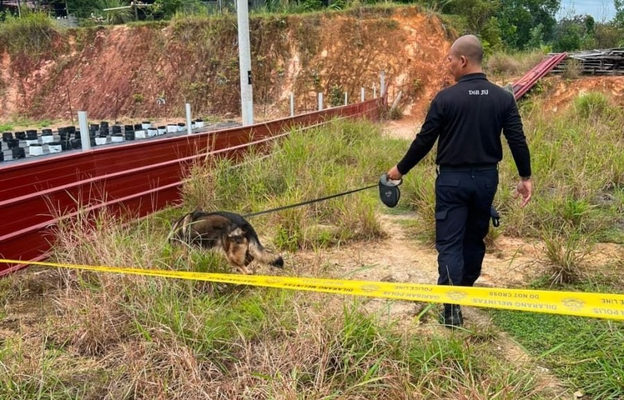 #马来西亚新闻 沙巴兵南邦草丛发现夭折婴尸,警方追查弃婴责任人 2026年7月29日,民众于沙巴兵南邦甘榜哥利加哥罗比斯住宅周边草丛,发现一具夭折婴儿遗体。兵…