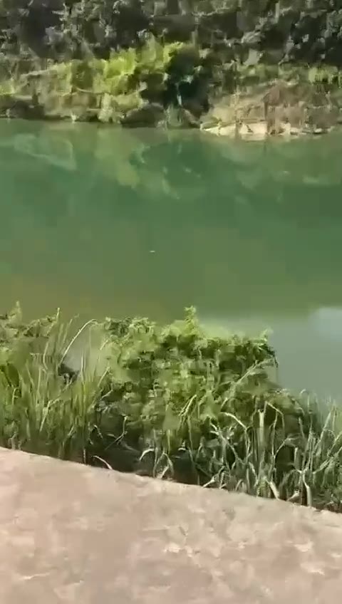 不像是来憋气的 @btlot（视频 1/1）